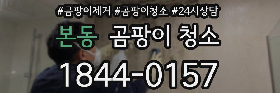 본동 곰팡이 청소