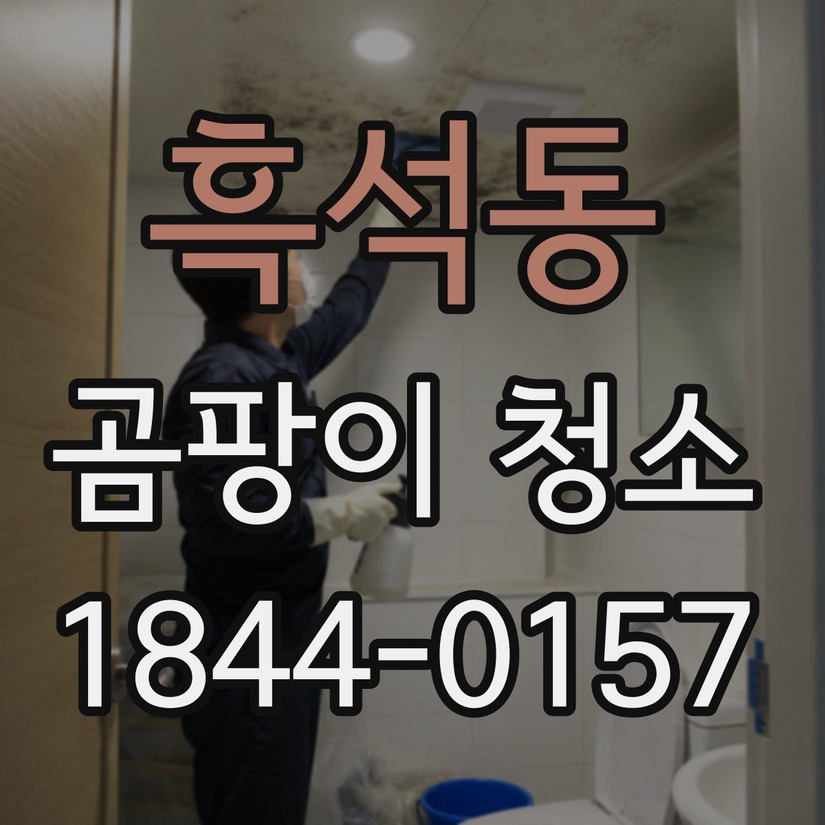 흑석동 곰팡이 청소