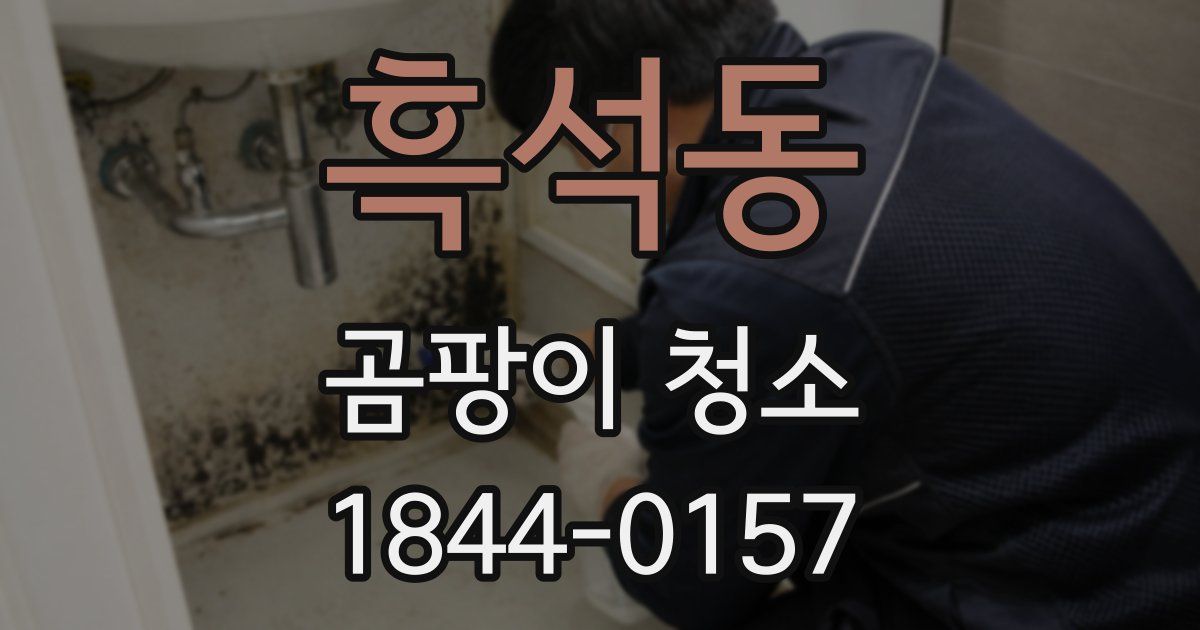 흑석동 곰팡이 청소