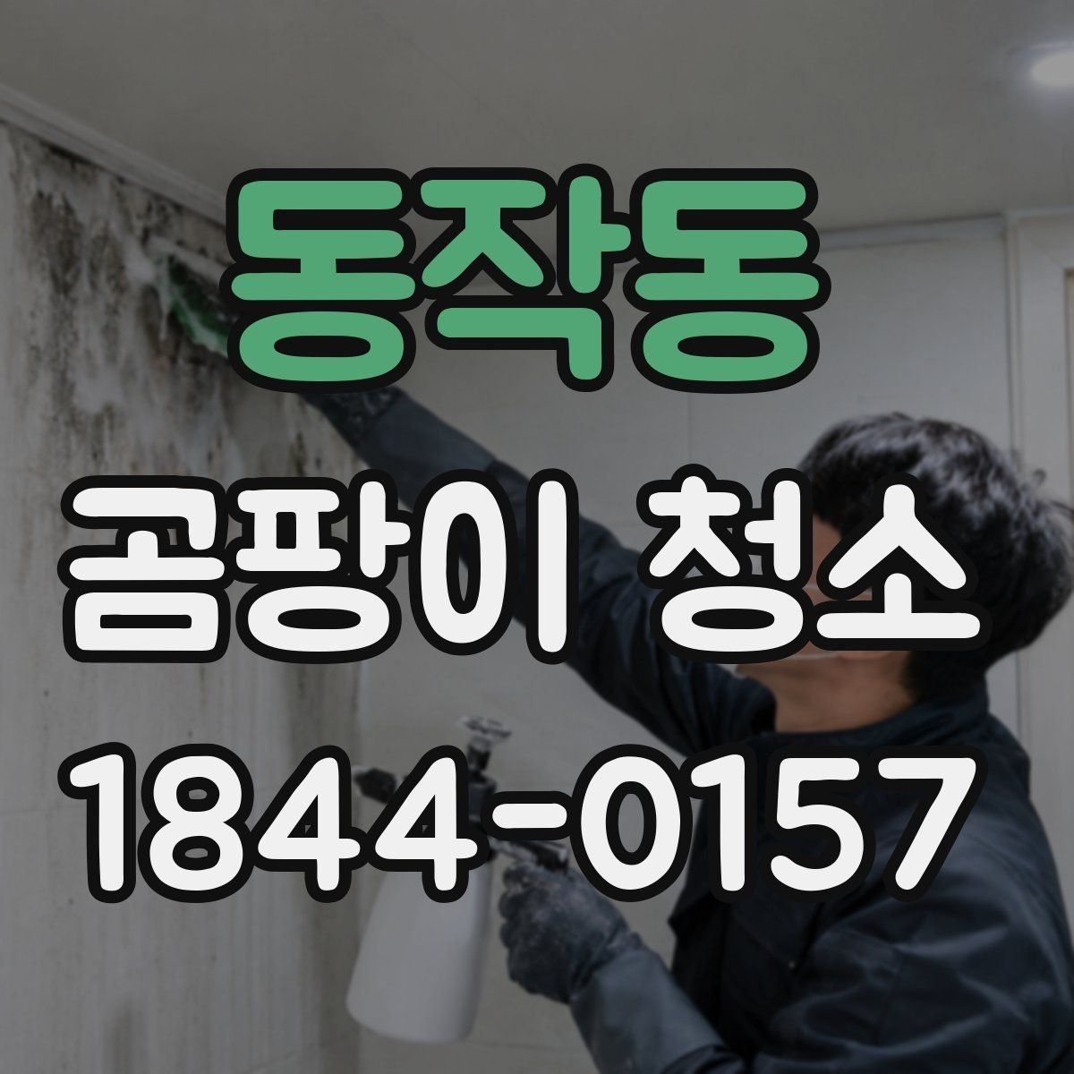 동작동 곰팡이 청소 후 소독이 필요한 이유와 마무리 방법