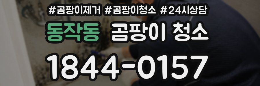 동작동 곰팡이 청소