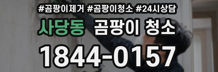 사당동 곰팡이 청소