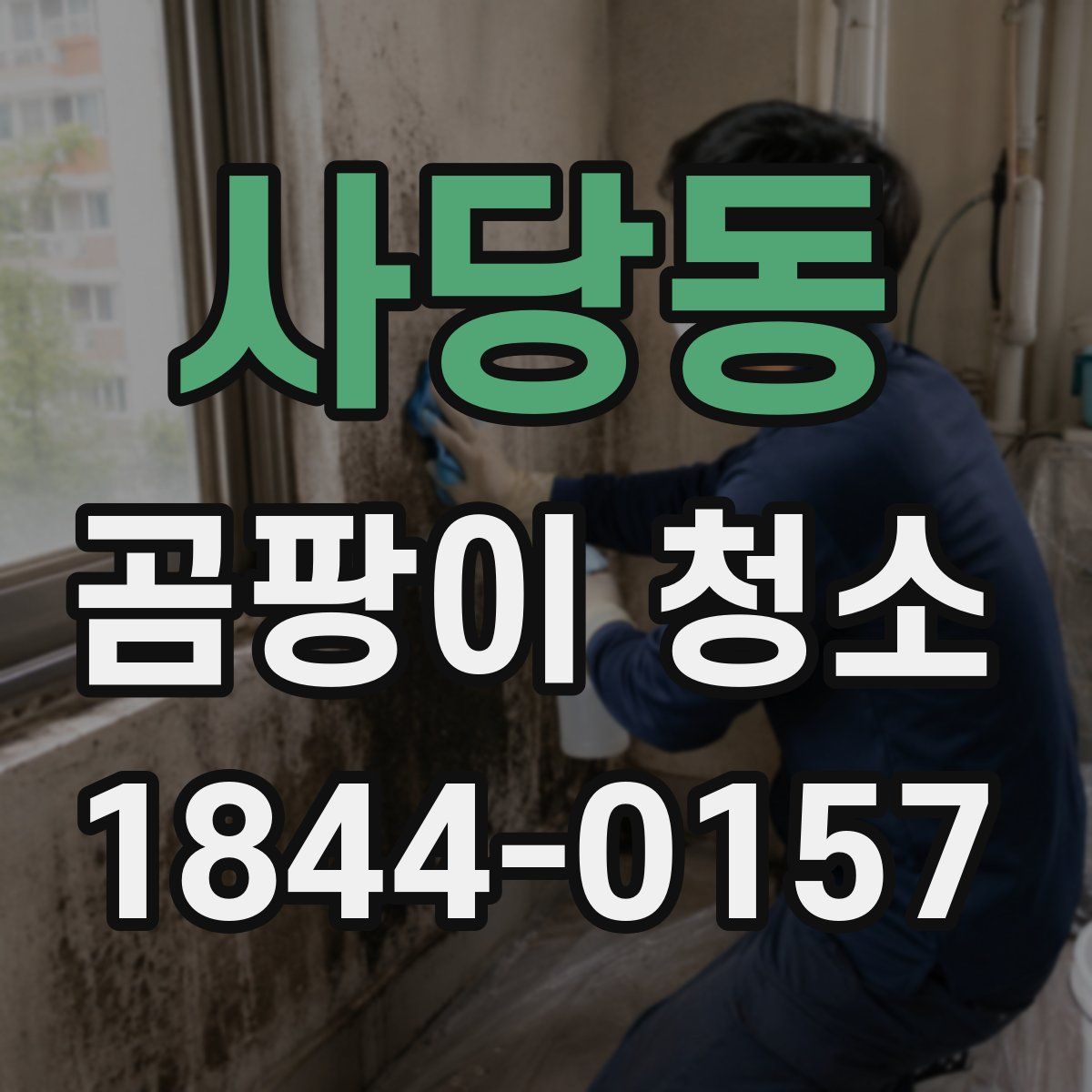 사당동 곰팡이 청소