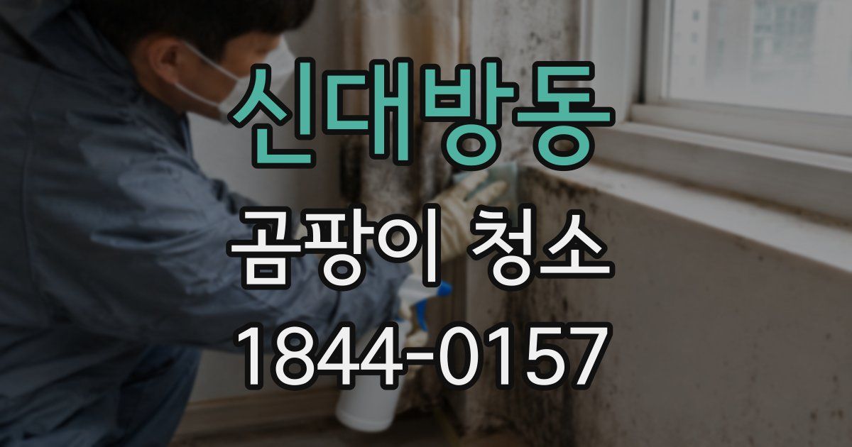 신대방동 곰팡이 청소