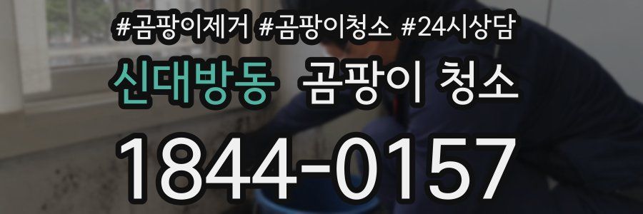 신대방동 곰팡이 청소