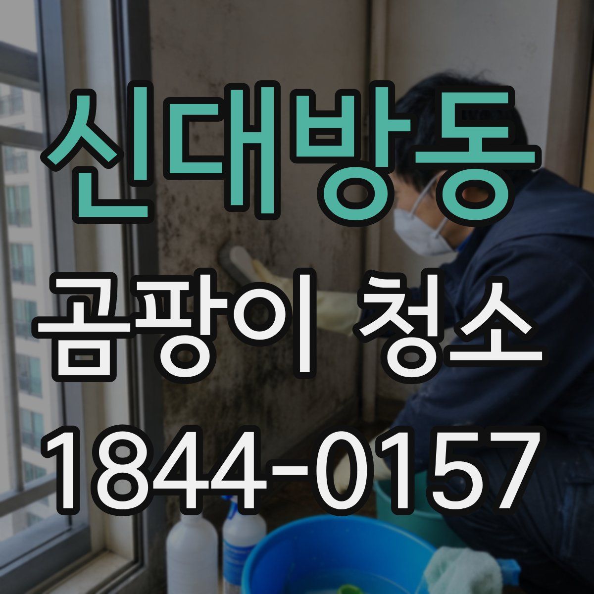 신대방동 곰팡이 청소