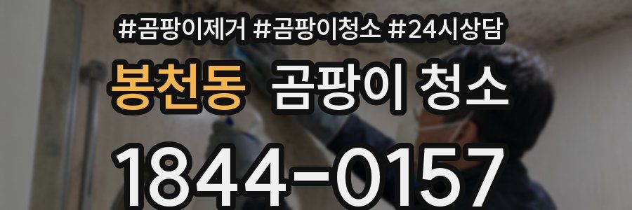 봉천동 곰팡이 청소