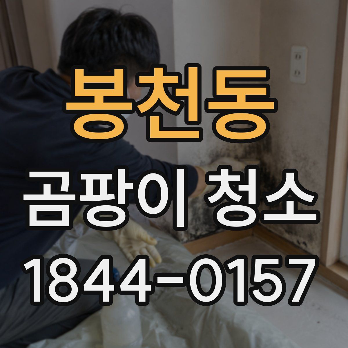 봉천동 곰팡이 청소