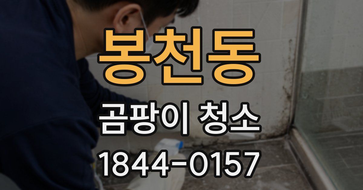 봉천동 곰팡이 청소
