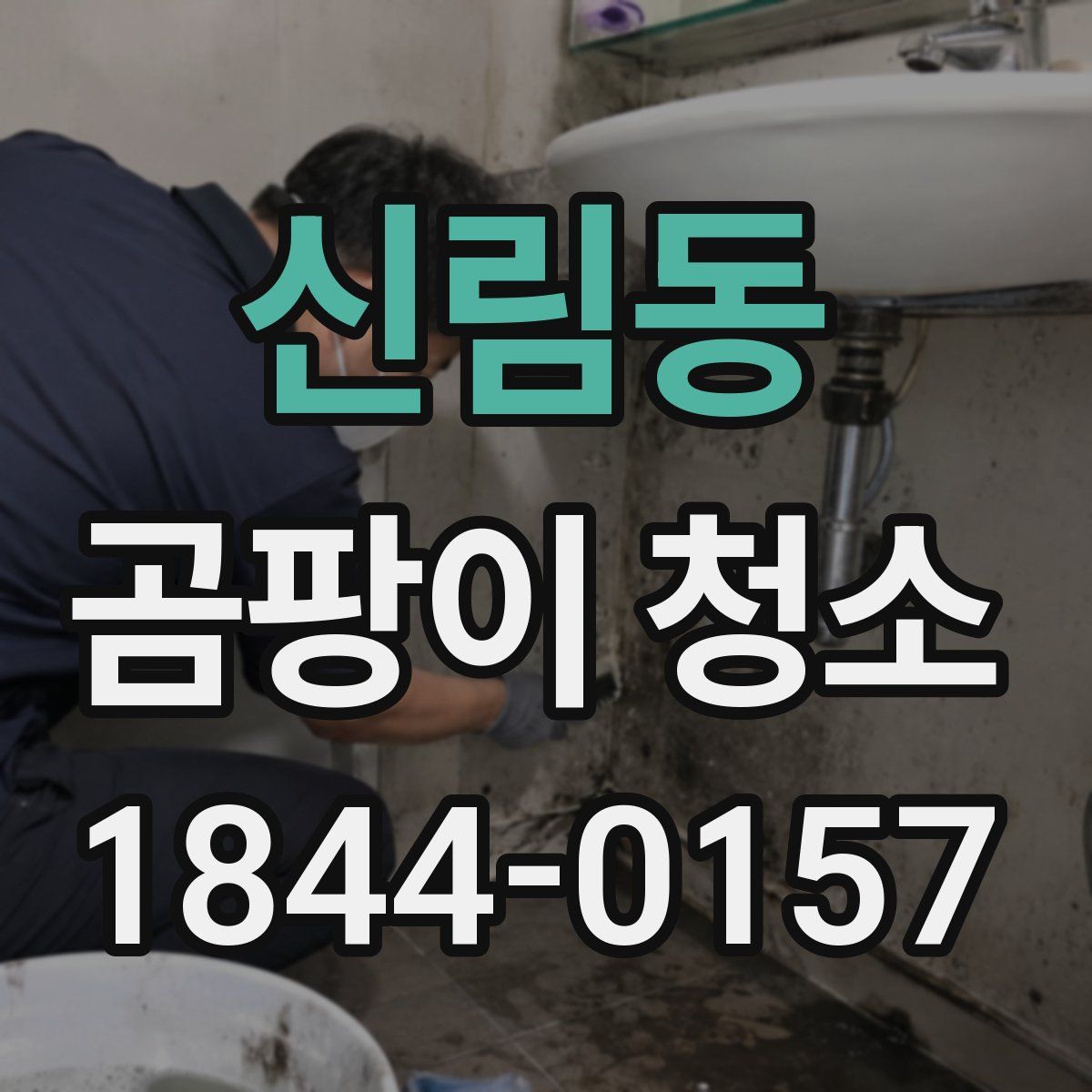 신림동 곰팡이 청소