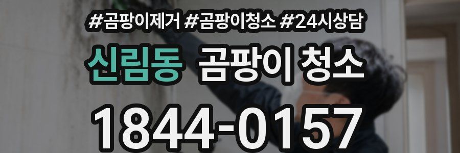 신림동 곰팡이 청소