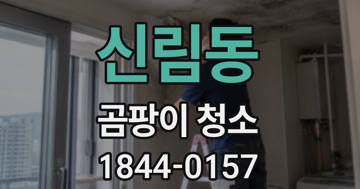 신림동 곰팡이 청소