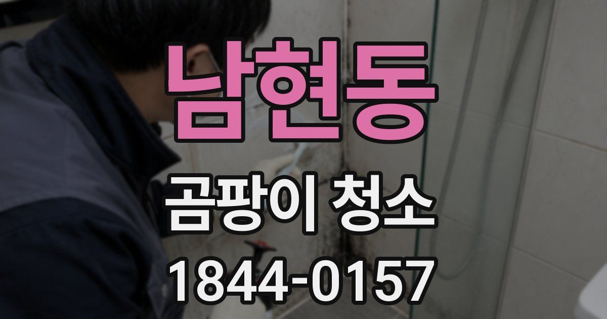남현동 곰팡이 청소
