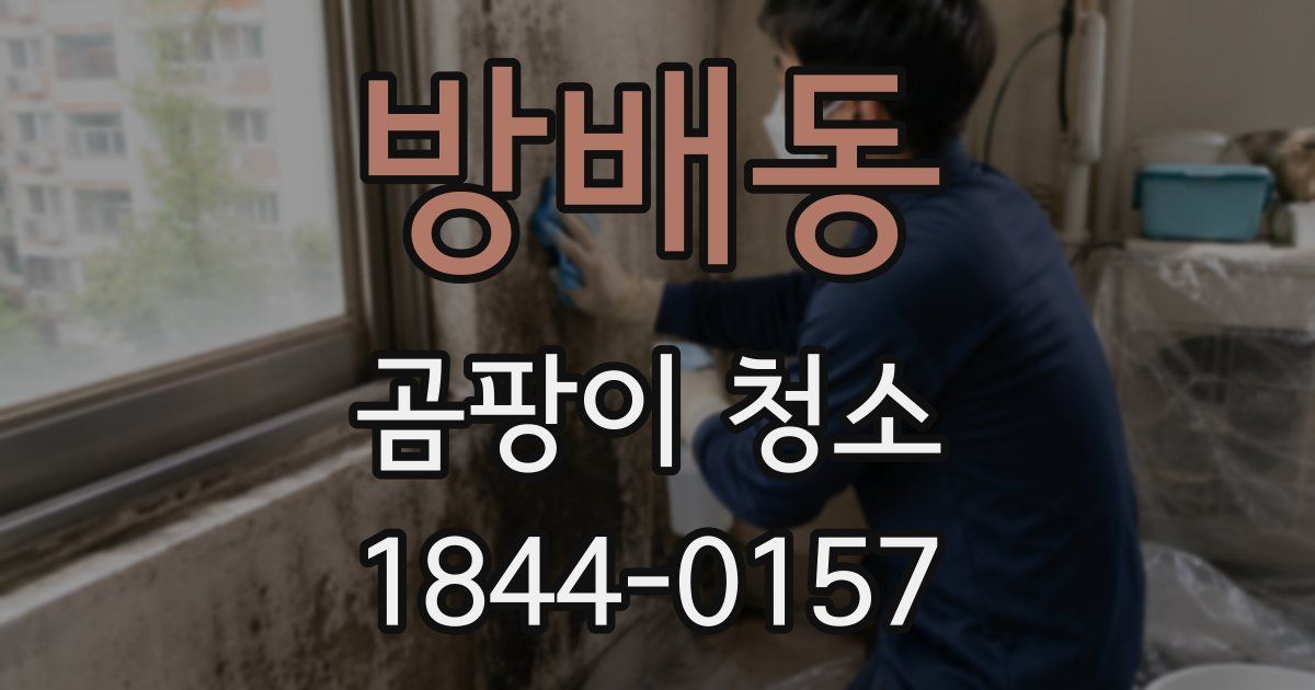 방배동 곰팡이 청소