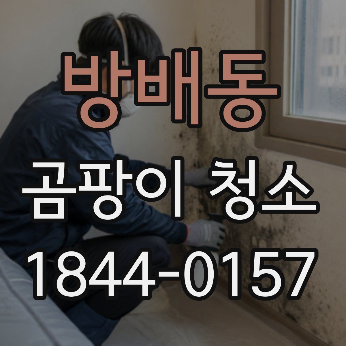 방배동 곰팡이 청소