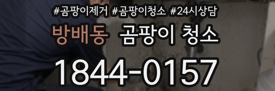 방배동 곰팡이 청소