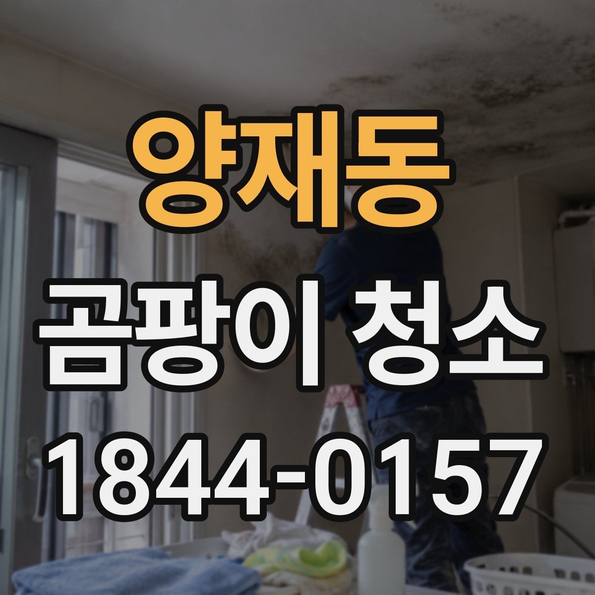 양재동 곰팡이 청소 번짐 전 먼저 확인할 마감재와 표면 상태