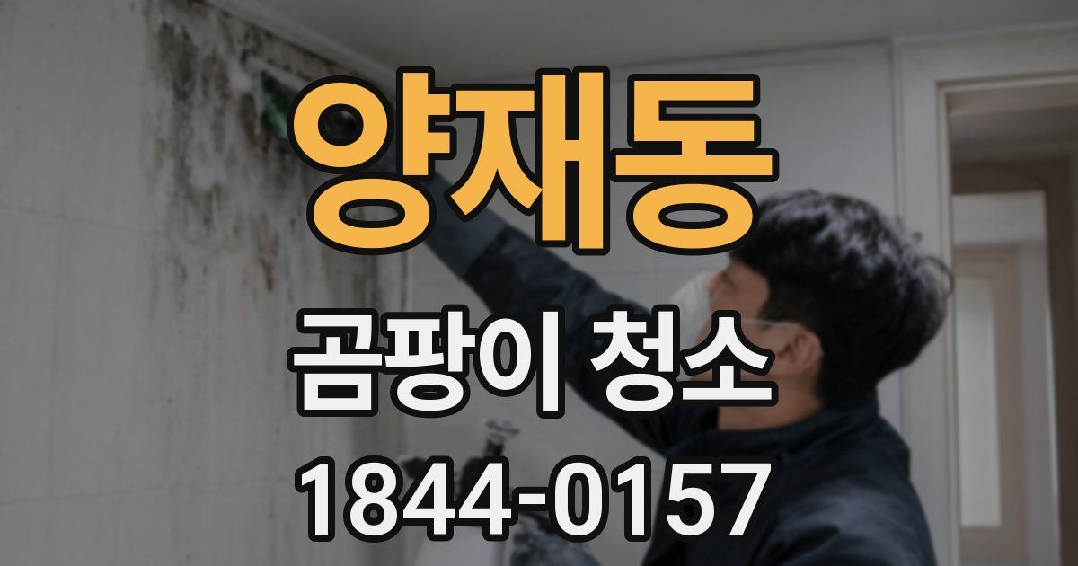 양재동 곰팡이 청소