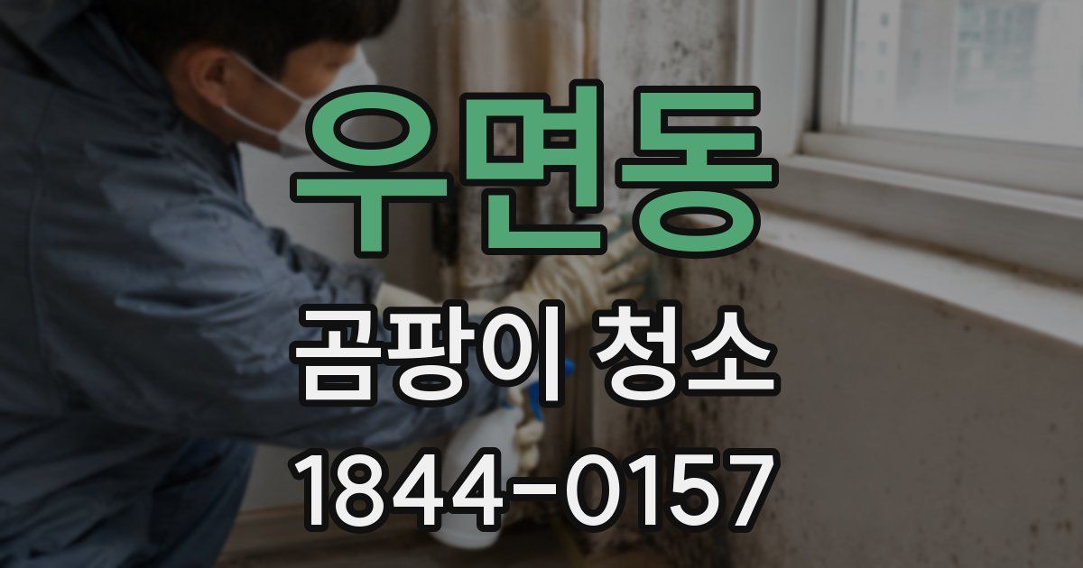 우면동 곰팡이 청소