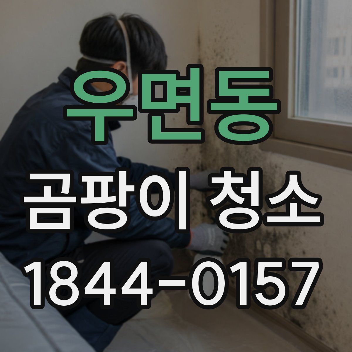 우면동 곰팡이 청소