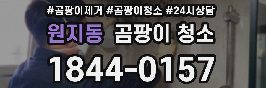 원지동 곰팡이 청소