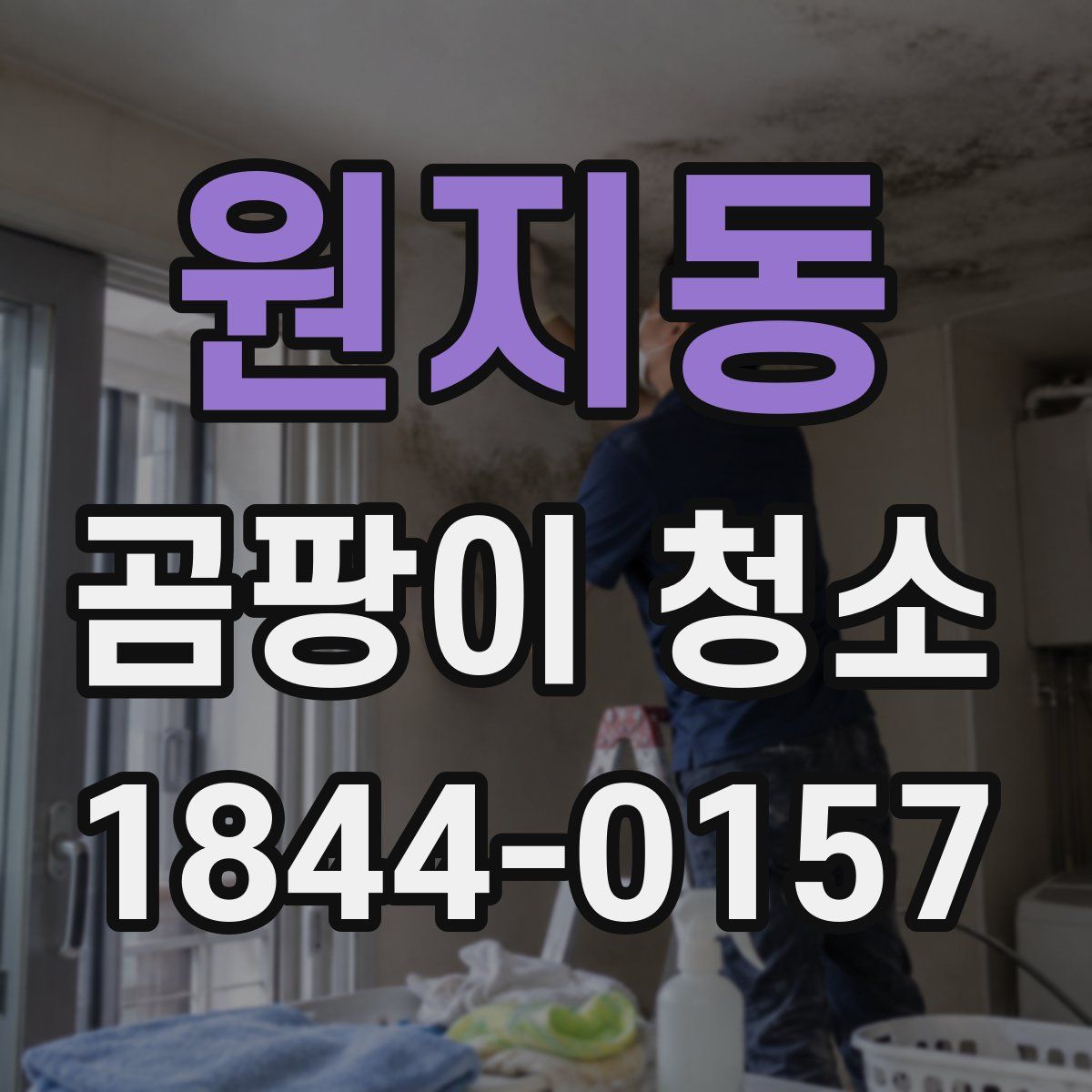 원지동 곰팡이 청소