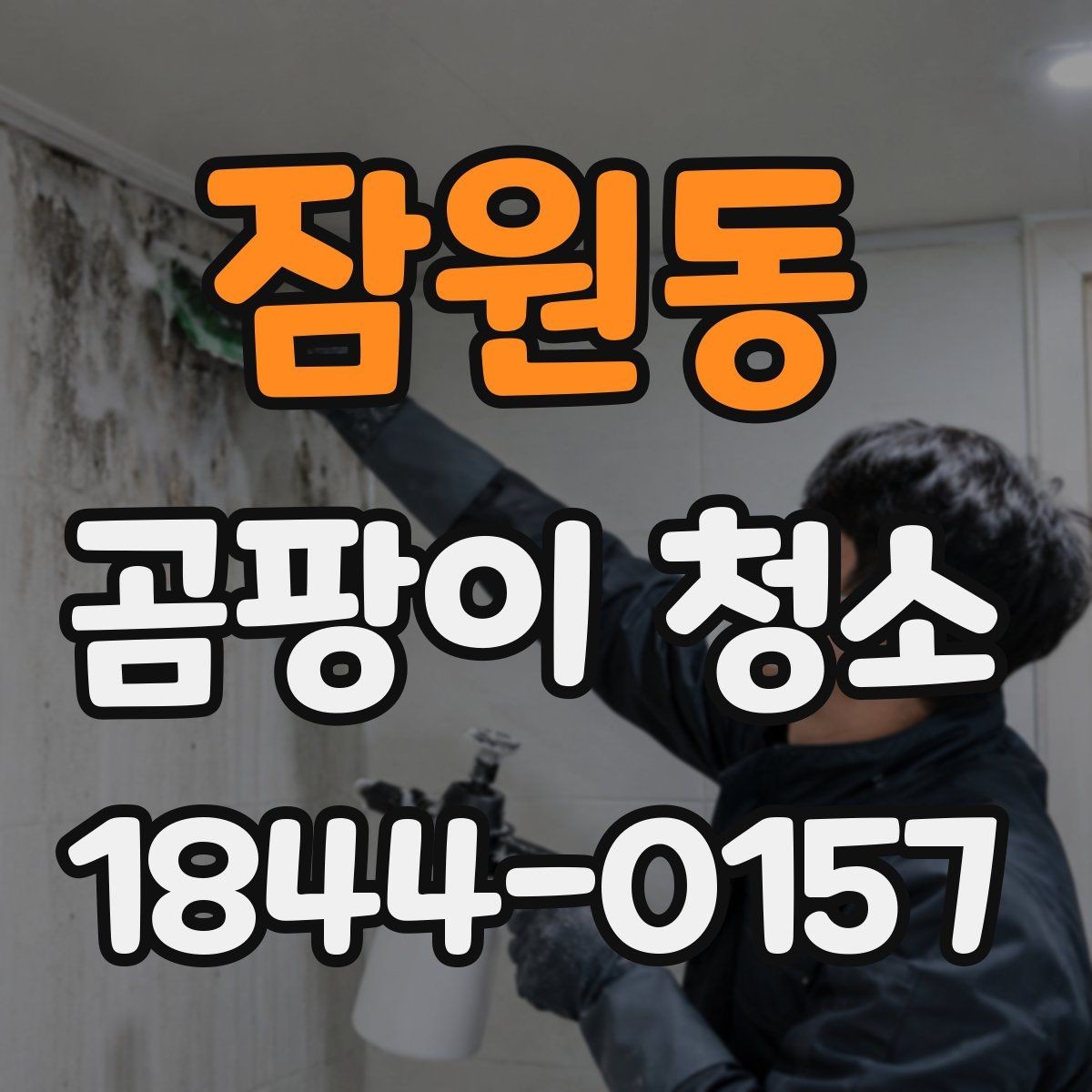 잠원동 곰팡이 청소 세제 고를 때 소재 손상 살피는 법