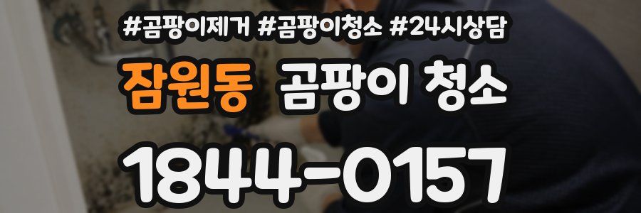 잠원동 곰팡이 청소
