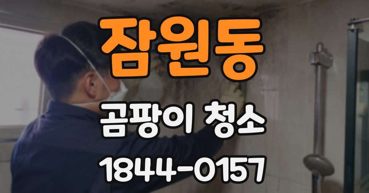 잠원동 곰팡이 청소
