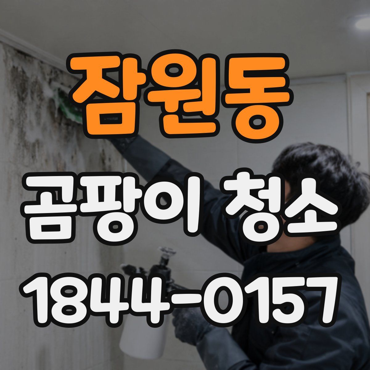 잠원동 곰팡이 청소