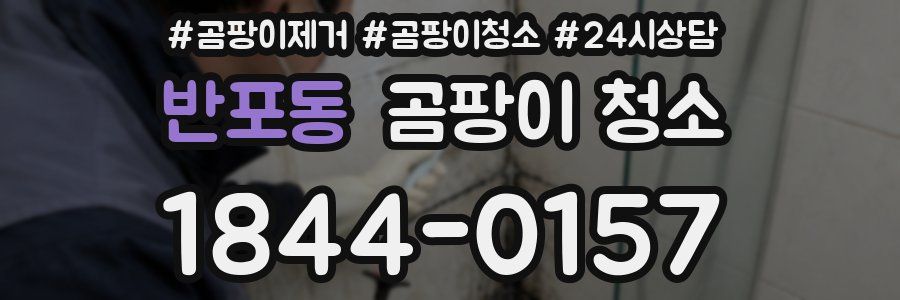 반포동 곰팡이 청소