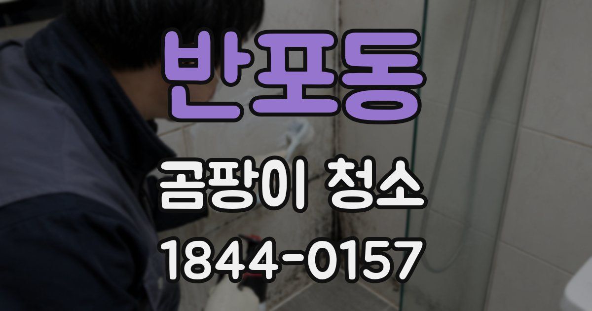 반포동 곰팡이 청소