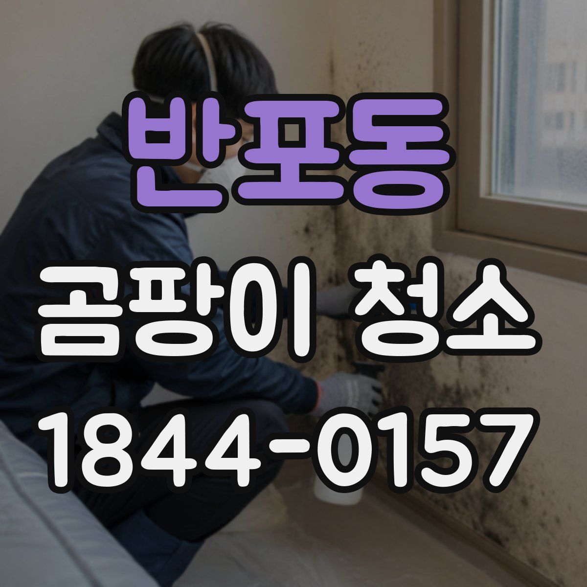 반포동 곰팡이 청소