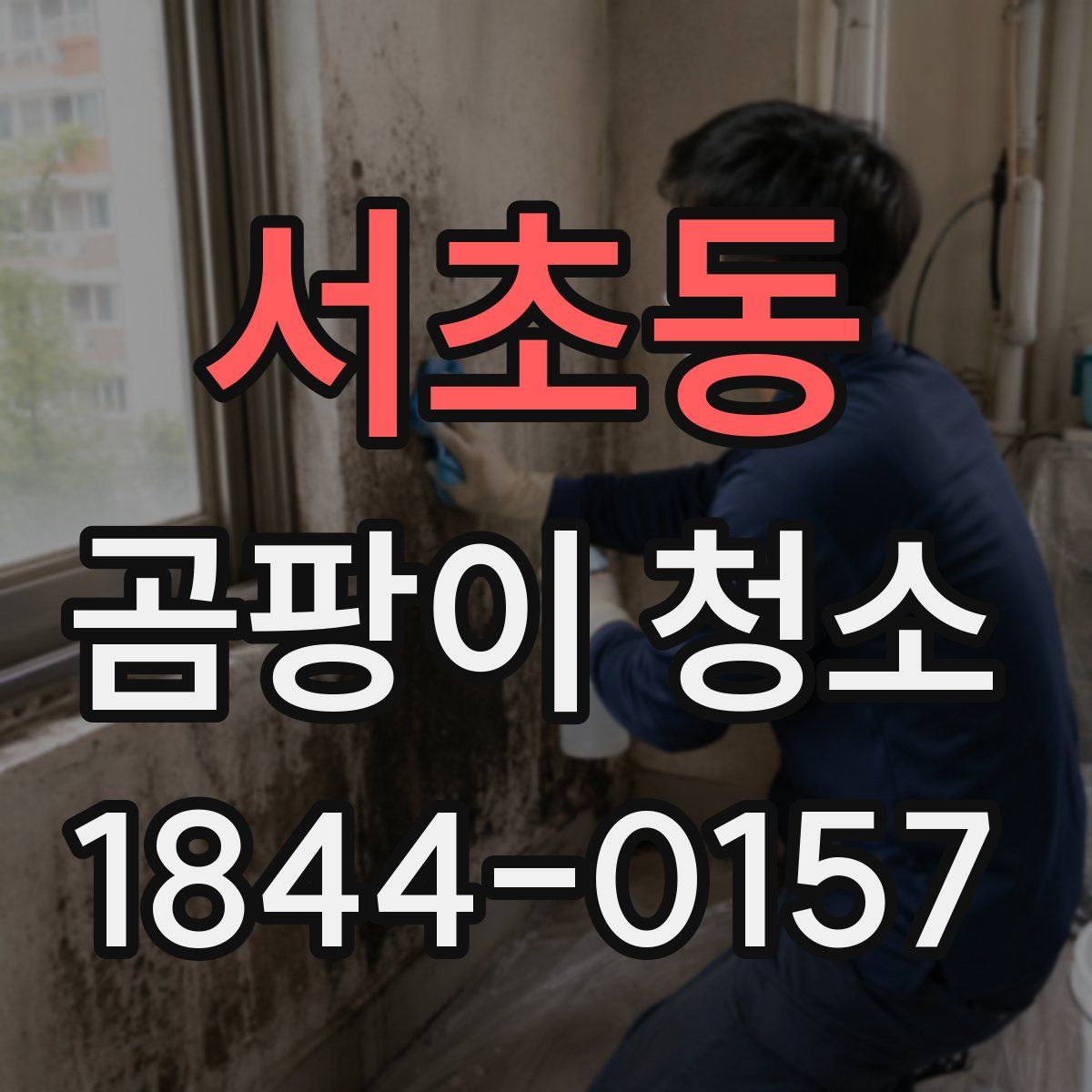 서초동 곰팡이 청소