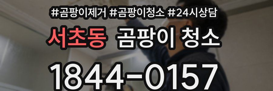 서초동 곰팡이 청소