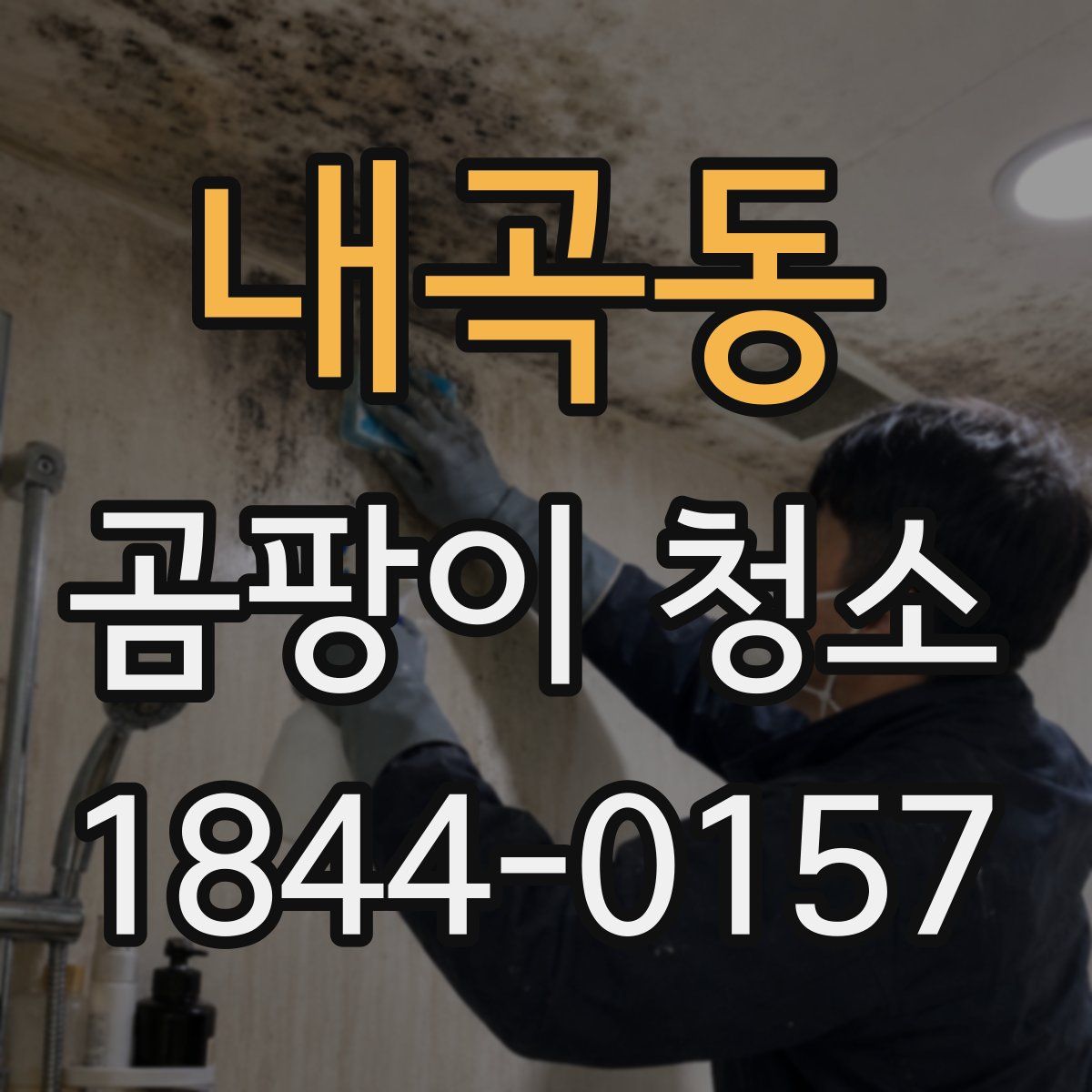 내곡동 곰팡이 청소
