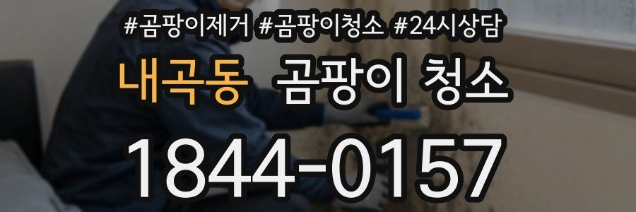 내곡동 곰팡이 청소