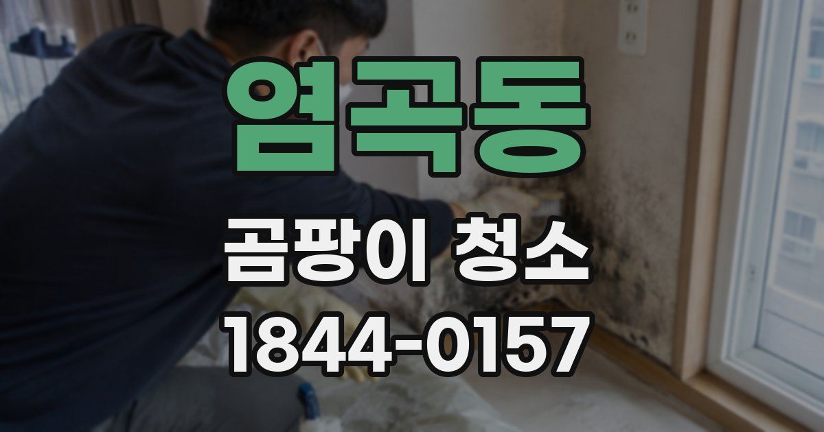 염곡동 곰팡이 청소