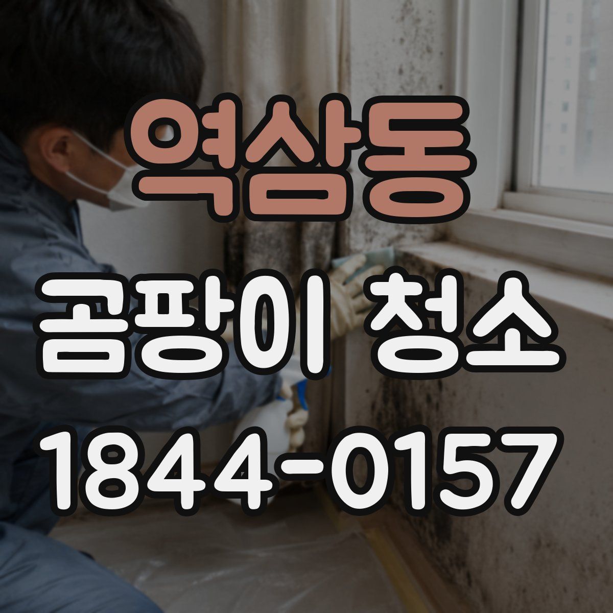 역삼동 곰팡이 청소