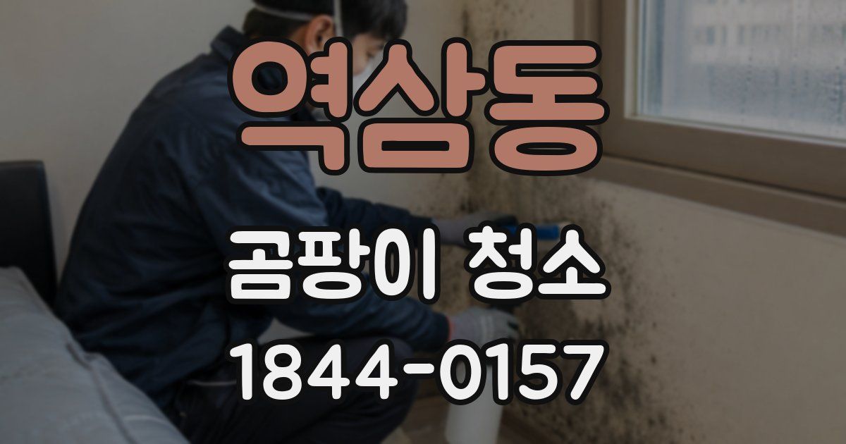 역삼동 곰팡이 청소
