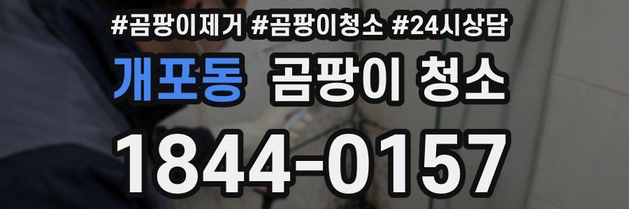 개포동 곰팡이 청소