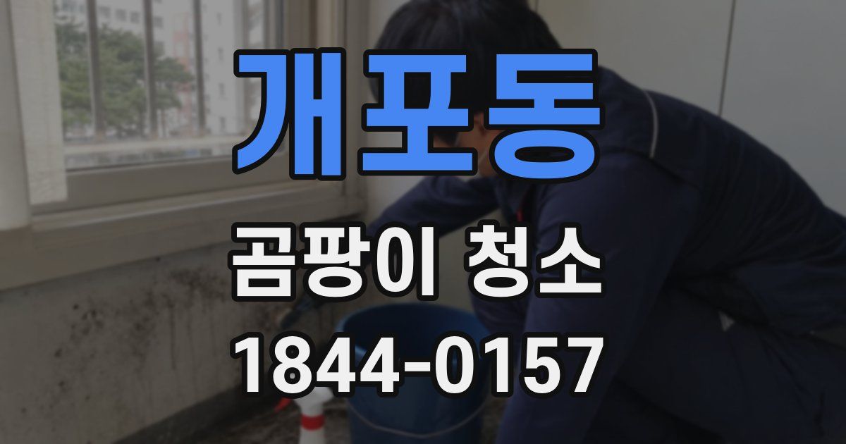 개포동 곰팡이 청소