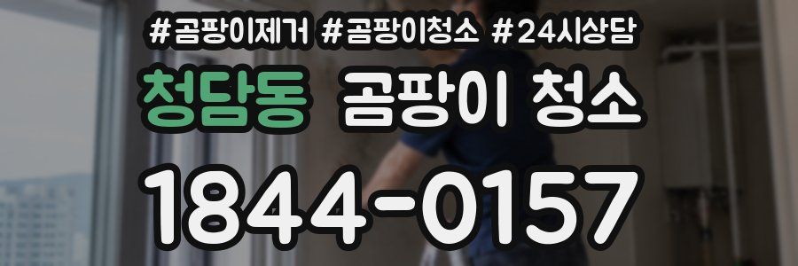 청담동 곰팡이 청소