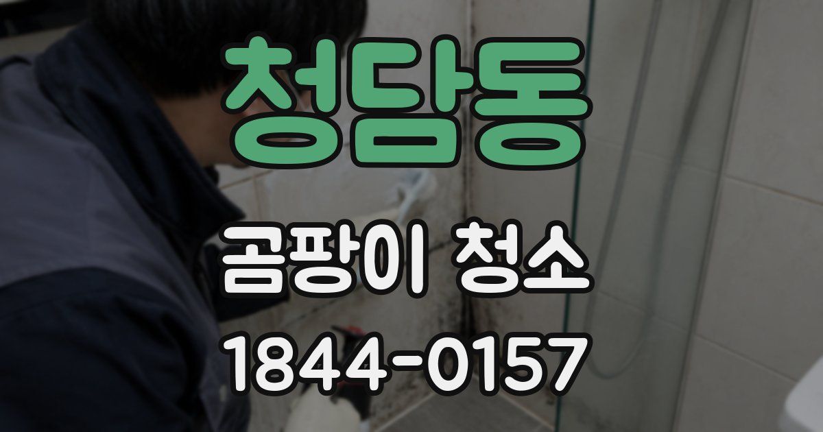 청담동 곰팡이 청소