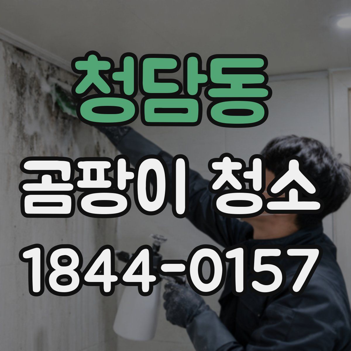 청담동 곰팡이 청소