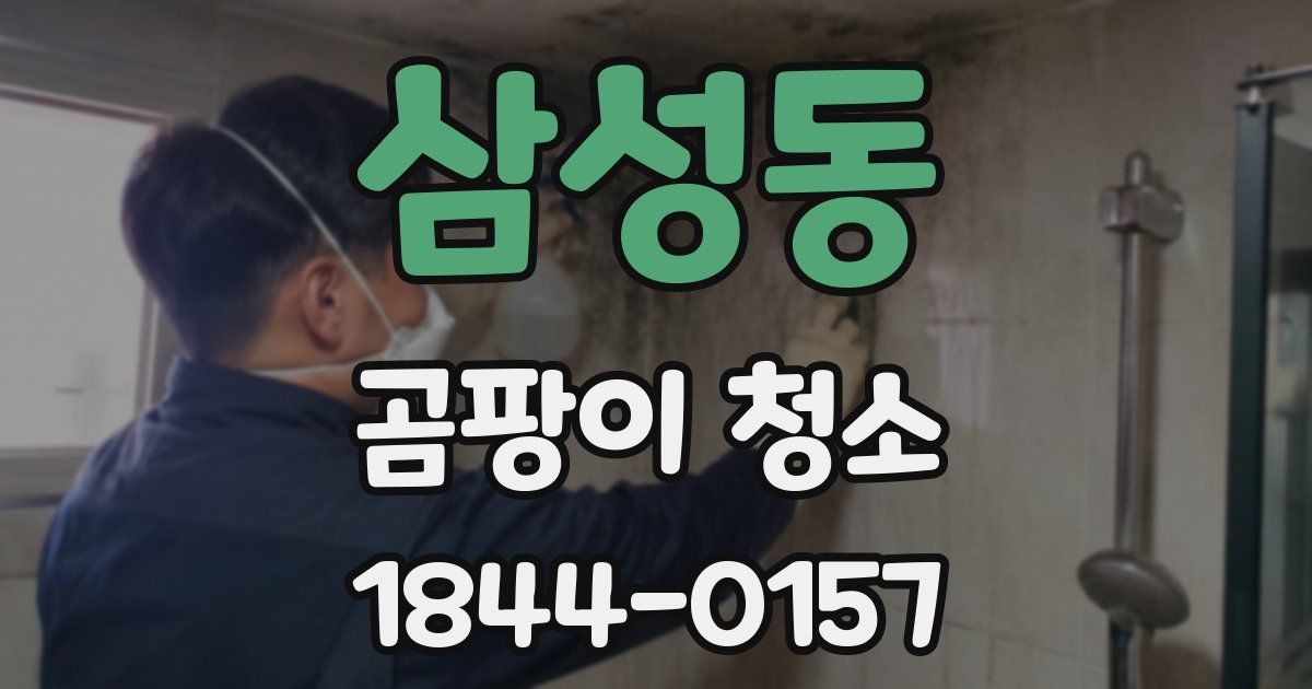 삼성동 곰팡이 청소
