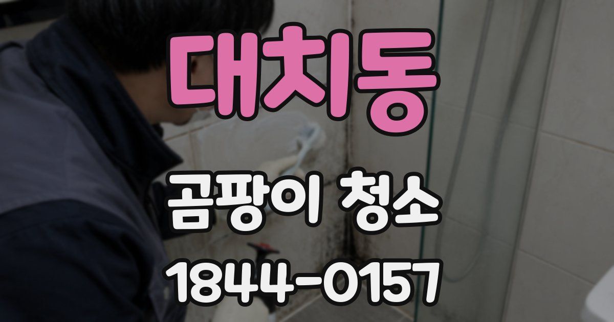 대치동 곰팡이 청소