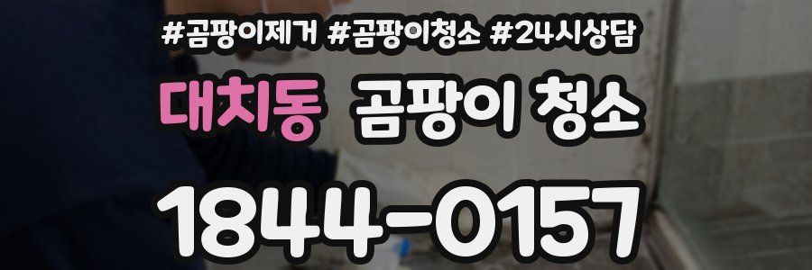 대치동 곰팡이 청소