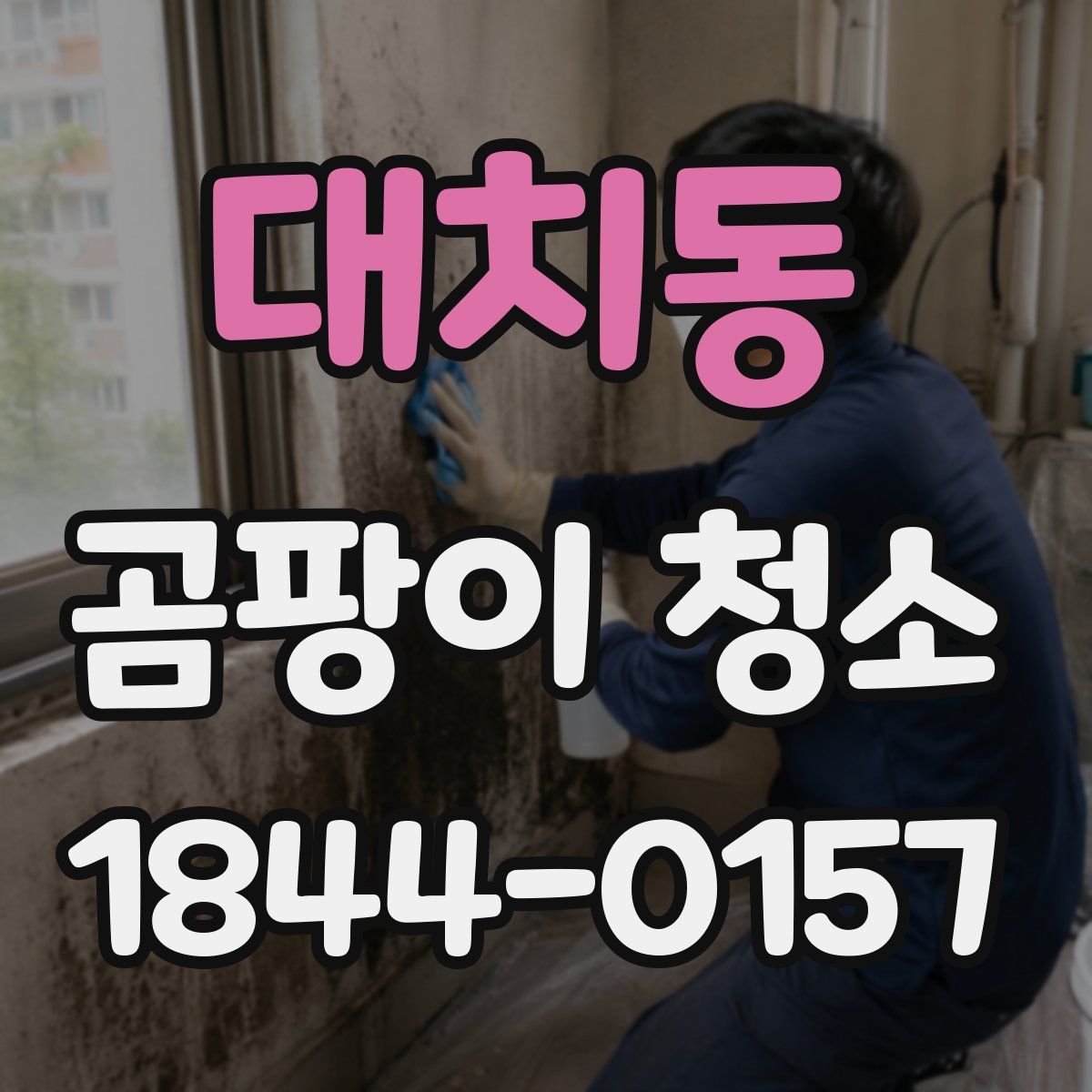 대치동 곰팡이 청소