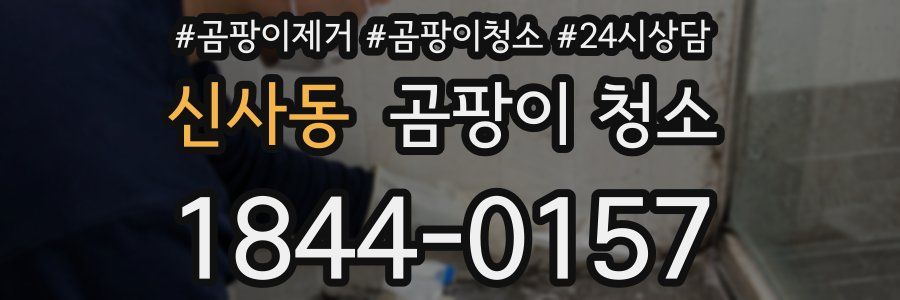 신사동 곰팡이 청소